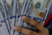 Курс валют на початку жовтня 2024 року: як змінилася вартість долара та євро