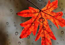 Україну накриє холодний атмосферний фронт: прогноз погоди на найближчі дні