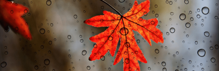 Україну накриє холодний атмосферний фронт: прогноз погоди на найближчі дні