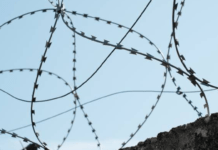 В Україні хочуть дозволити засудженим тимчасово залишати межі колонії: за яких умов