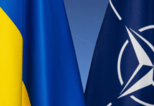 Чому Україна не може стати членом НАТО: пояснення канцлера Німеччини