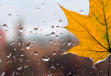 Прогноз погоди на листопад: чого чекати українцям і коли можливий перший сніг