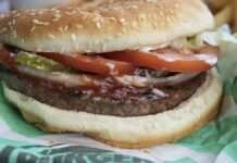 Що стало причиною спалаху кишкової палички в McDonald’s: відомо про майже 100 постраждалих