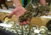 У МОЗ розповіли, як і коли в Україні можна буде придбати ліки на основі канабісу