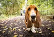 Синоптики дали прогноз на завтра в Україні. У яких областях чекати дощі