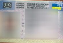 Придбав посвідчення в Інтернеті та скоїв ДТП: патрульні Дніпра виявили у водія підроблений документ