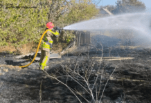 33 пожежі в природних екосистемах за добу: на Дніпропетровщині продовжують боротися з загоряннями