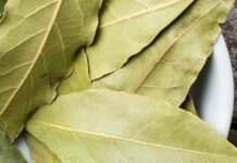 Секрет французьких господинь: навіщо класти під подушку лавровий лист