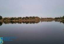 На Дніпропетровщині прокуратура повернула тергромаді земельну ділянку вартістю понад 1,3 млрд грн