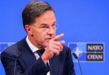 Генсек НАТО виступить завтра із заявою про війська КНДР у Росії