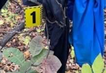 Поліція Межової встановлює особу чоловіка, тіло якого виявили неподалік с. Новопавлівка