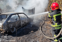 У Синельниківському районі з невідомих причин спалахнув автомобіль «Таврія»