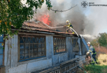 У Павлограді ліквідували пожежу в приватному житловому секторі