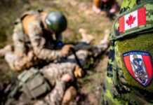 Канадські інструктори навчають військових ЗСУ складним медичним навичкам, – Генштаб