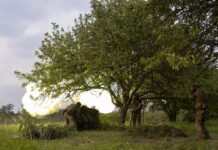 “Дракон” VS танк. Військові показали ефектне знищення ворожої техніки