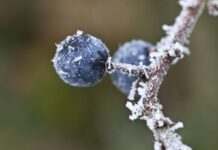 Погода здивує різноманітністю. Синоптики дали прогноз на сьогодні в Україні