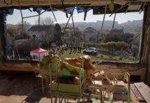 За тисячу днів вторгнення Росії загинули 89 українських педагогів і викладачів – МОН