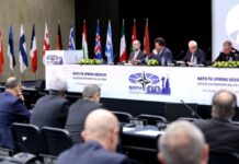 Парламентська асамблея НАТО підтримала «план перемоги» Зеленського