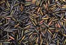 Медіа: Швейцарія заборонила продаж боєприпасів польській компанії – вони потрапляли до України