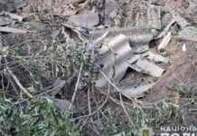 На околицях Чернігова через удар крилатої ракети поранені дві людини – влада