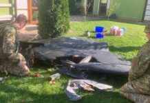 У Києві два “Шахеди” впали і не вибухнули, їх розрядила поліція (фото)