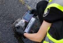 У Києві знову працює ППО: на лівому березі впали уламки