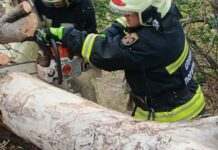 У Кам’янському та області вирує сильний вітер: наслідки негоди