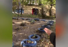 У Дніпрі на Моніторній жінка вистрибнула з вікна: деталі