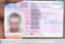 У Запоріжжі виявили 56-річного керманича з підробленими документами