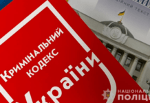 Мало не вбив односельця: на Дніпропетровщині суд виніс обвинувальний вирок зловмиснику