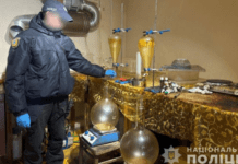 Вилучили наркотиків на 20 млн грн: правоохоронці ліквідували діяльність злочинного угруповання контрабандистів