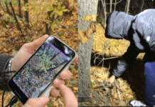 Розповсюджував заборонені речовини: поліцейські Дніпра повідомили про підозру 18-річному наркозбувачу