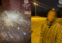 Community policing в дії: мешканка Дніпра запобігла викраданню рельс із залізничної станції