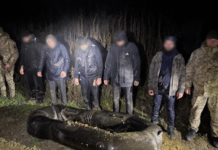 Впʼятьох у двомісному човні: прикордонники затримали чоловіків, які намагались втекти з України через Тису