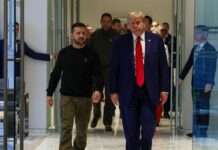 Зеленський привітав Трампа з перемогою на виборах