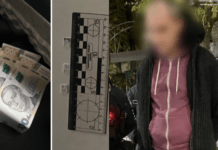 Поліцейські Запоріжжя затримали чоловіків, причетних до пограбування містянки