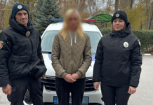 Каталася містом: запорізькі поліцейські розшукали автокрадійку