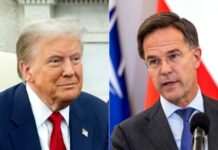 Генеральний секретар НАТО Рютте зустрівся з Трампом у Флориді