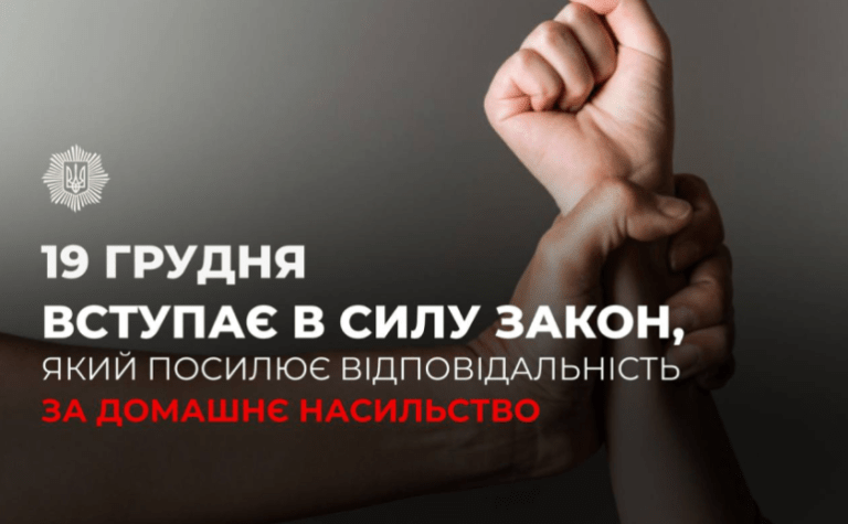 19 грудня вступає в силу закон, який посилює відповідальність за домашнє насильство: деталі