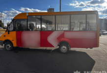 У Кривому Розі водій громадського транспорту вчинив смертельне ДТП: деталі