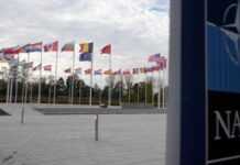 Країни НАТО засудили військову співпрацю Росії та КНДР