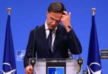 Генсекретар НАТО прокоментував попередні результати виборів у США