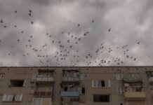 З початку доби на Покровському та Курахівському напрямках відбулося 90 боїв – Генштаб ЗСУ