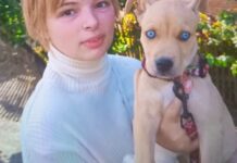 Правоохоронці Нікополя розшукують 16-річну Хиленко Анастасію