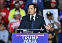 Трамп висуває Марко Рубіо на посаду держсекретаря США у своїй адміністрації