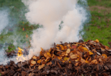 Великі штрафи та навіть в’язниця загрожують українцям за спалювання листя та сухої трави