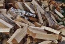 Сотні тисяч штрафу або в’язниця: для українців підготували новий «закон про дрова»
