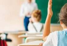 Як нові тести для 4-5 класів допоможуть подолати освітні втрати в Україні