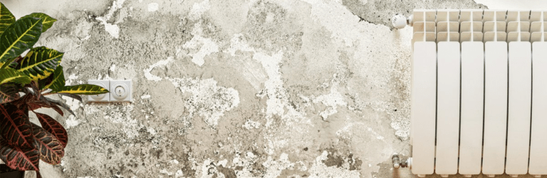 Як позбутися плісняви та сирості в оселі за допомогою соди: ефективний метод для підтримання чистоти