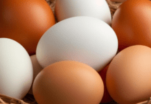 Курячі яйця в Україні знову здорожчають: скільки коштуватимуть і коли очікувати на підвищення цін